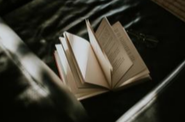 好评中国丨三重合力聚引力，中国市场成为全球资本“避风港”