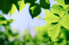 好评中国丨春假遇清明，“小黄金周”激活文旅消费新动能