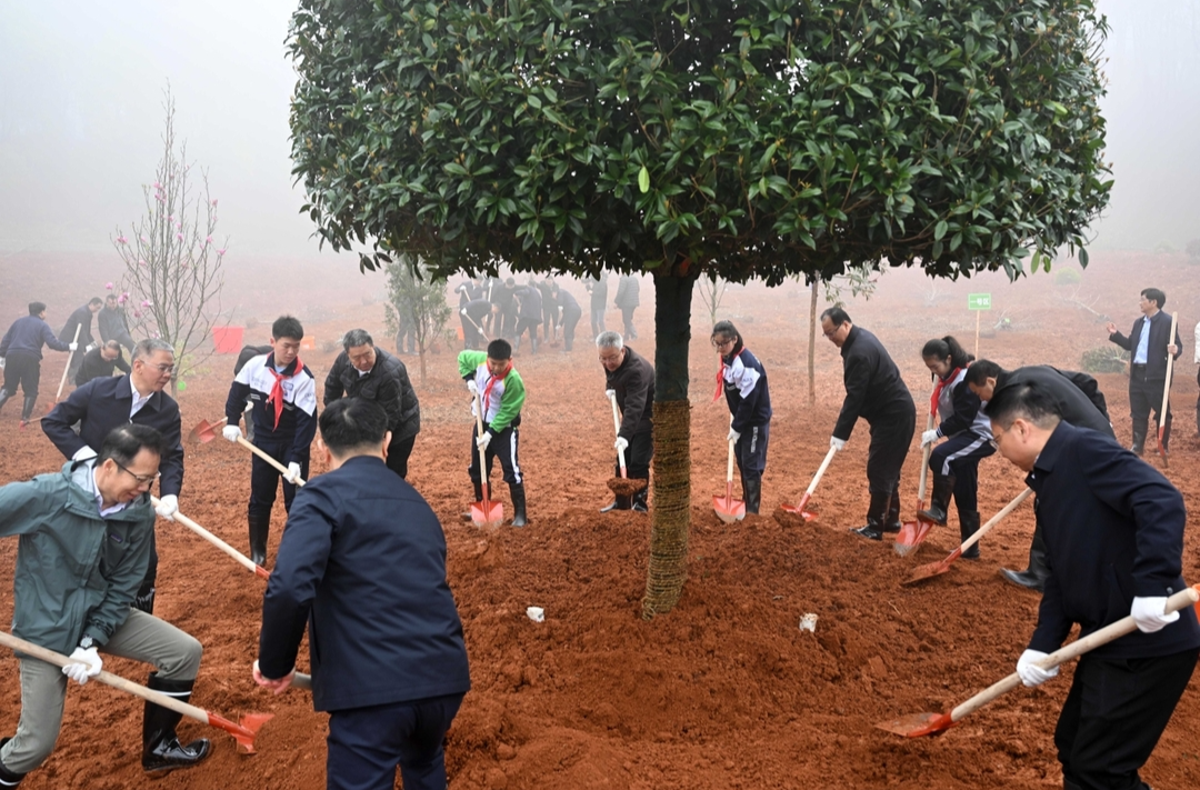 全省集中义务植树活动举行 沈晓明毛伟明毛万春参加