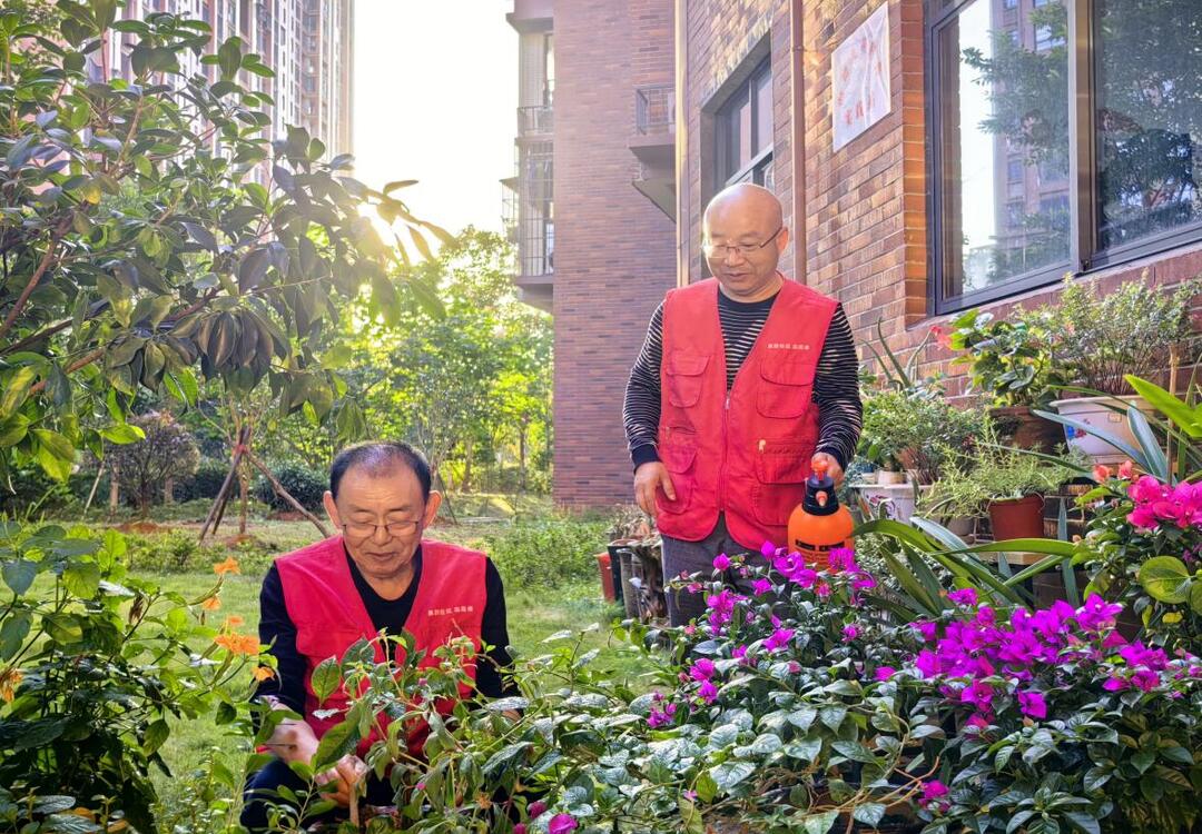 基层硬核力量，让“邻聚力”触达“零距离”