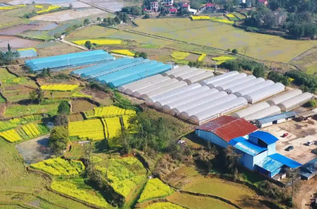 “指尖”轻松种田，秸秆可换化肥——永州：智慧种田有“秘诀”