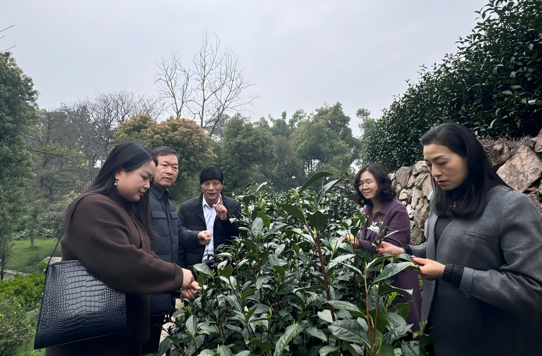 精准服务破生产难题 专家支招助产业提质