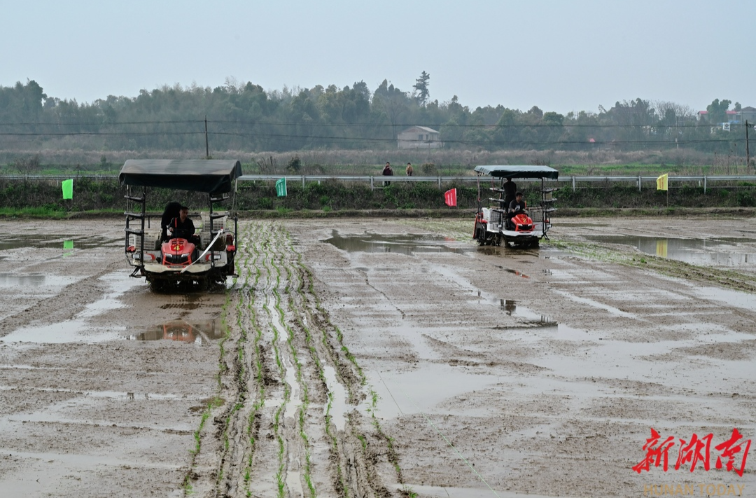 望城区机械化插秧技能竞赛奏响“春耕曲”