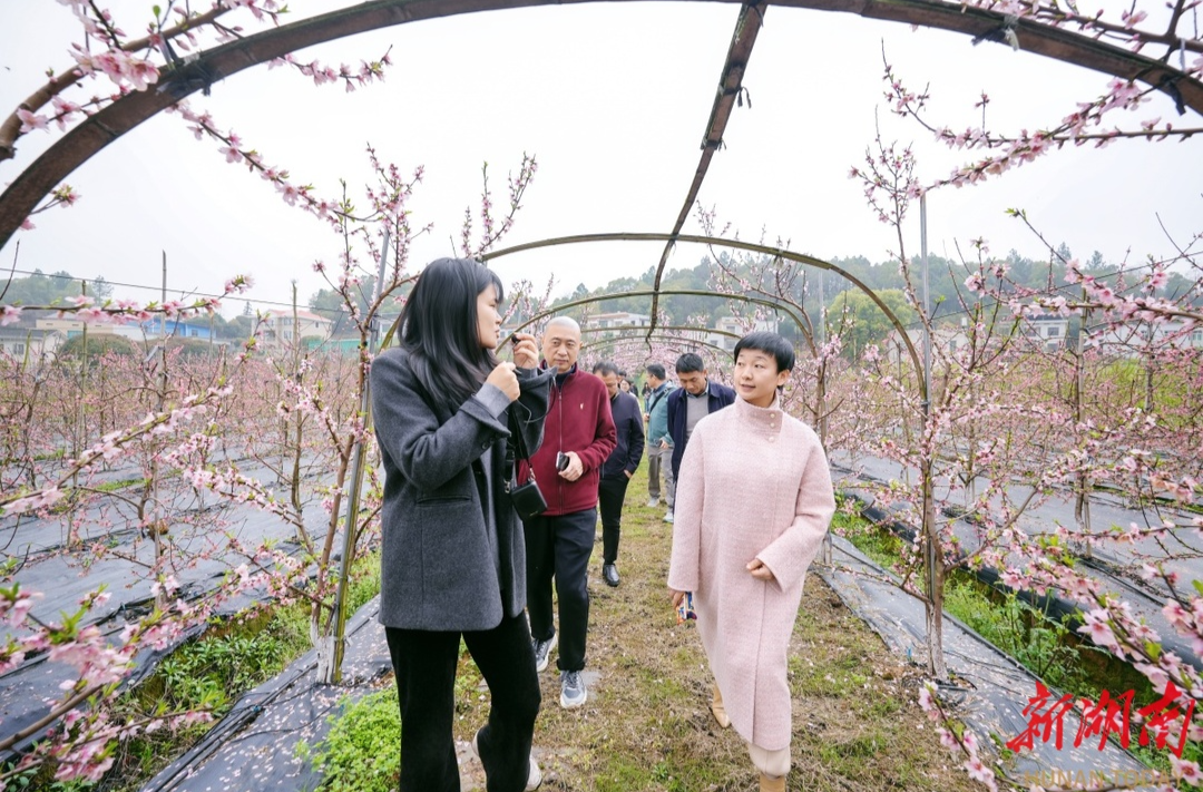 同心绘“四区”！天心区以“寻美”之力赋能南部融城片区乡村振兴