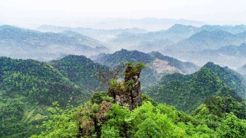 清明期间文明祭祀 严防森林火灾倡议书