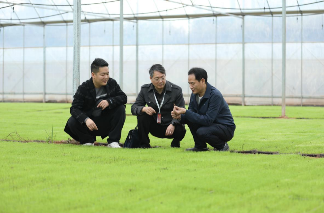 衡南：督促职能部门履职尽责 一线监督护春耕