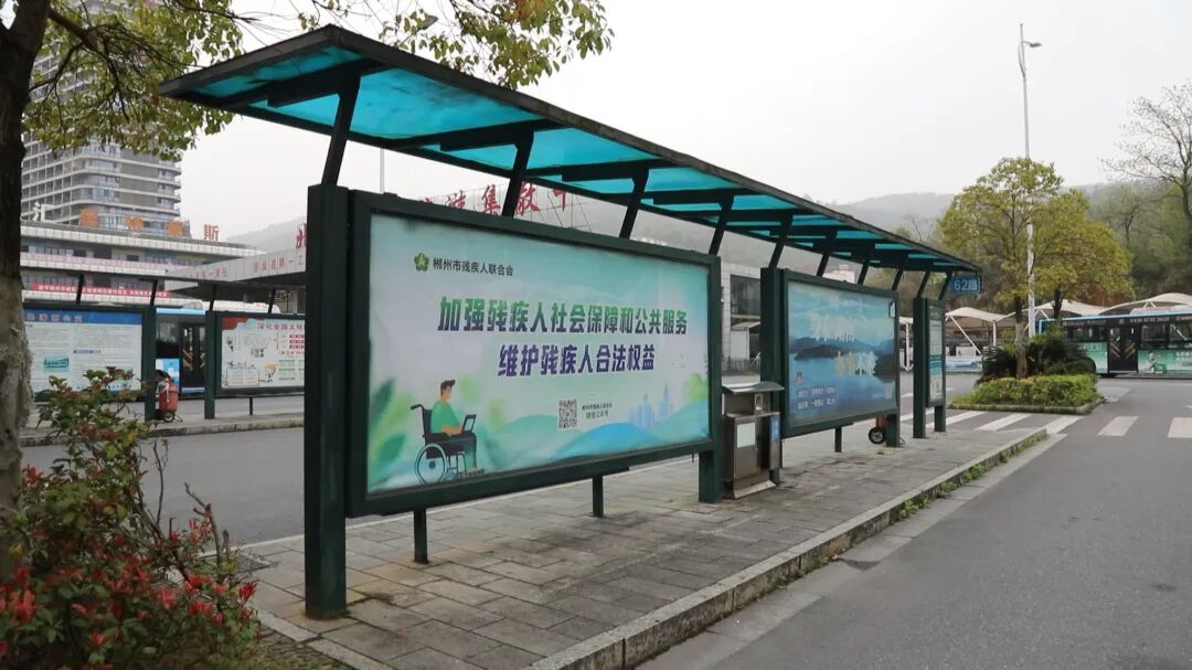 Copy_【口】扶残助残：惠残宣传进公交 文明新风润郴城20260330_110352.jpg