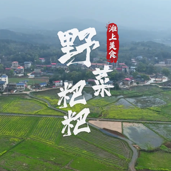 冷水滩：做一份软糯艾草粑 尝一口“春天的味道”