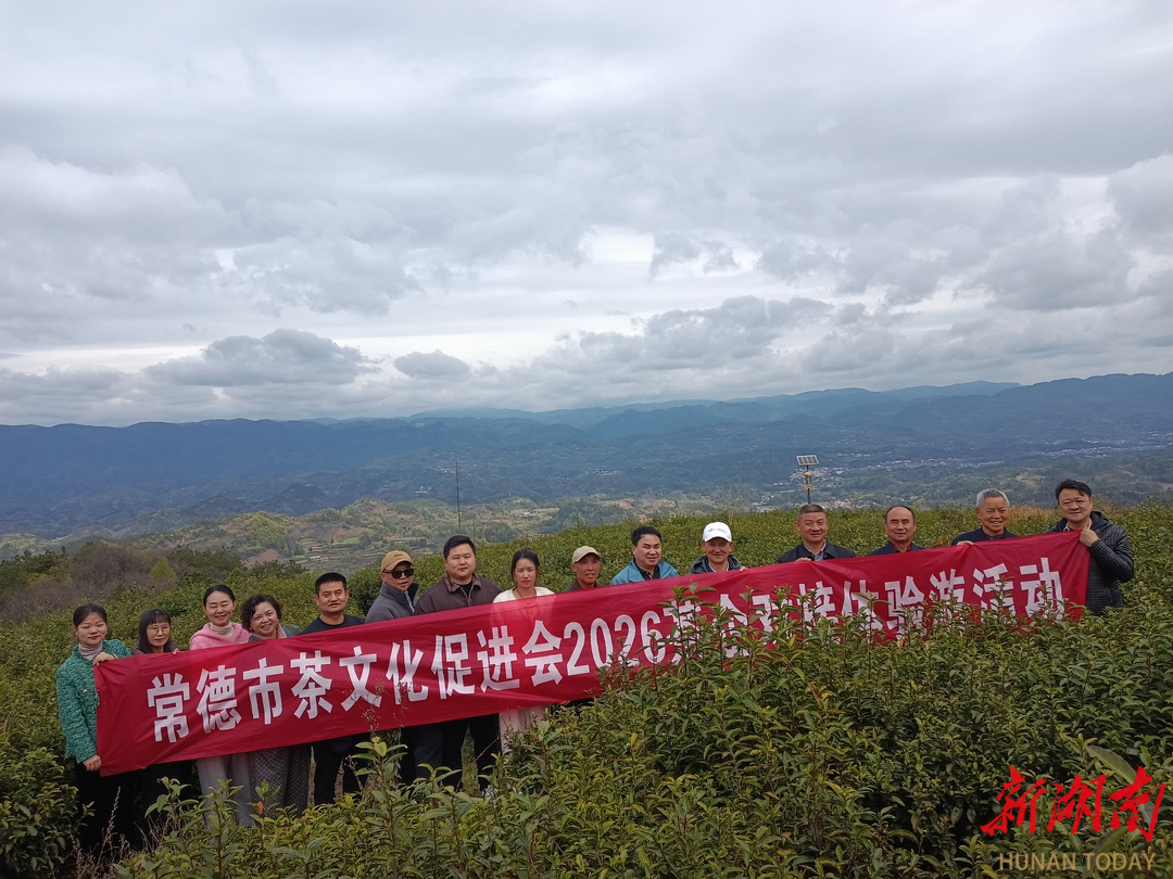 常德市茶文化促进会开展石门成员单位茶企对接活动