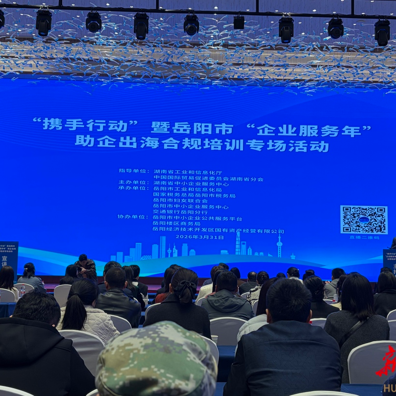 扫雷 听风 定航向！岳阳企业服务年这场培训送上出海“装备包”