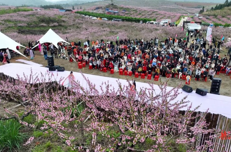 开局八好 乘势而上｜踏青正当时 临武南强“桃花嘉年华”迎来赏花热潮