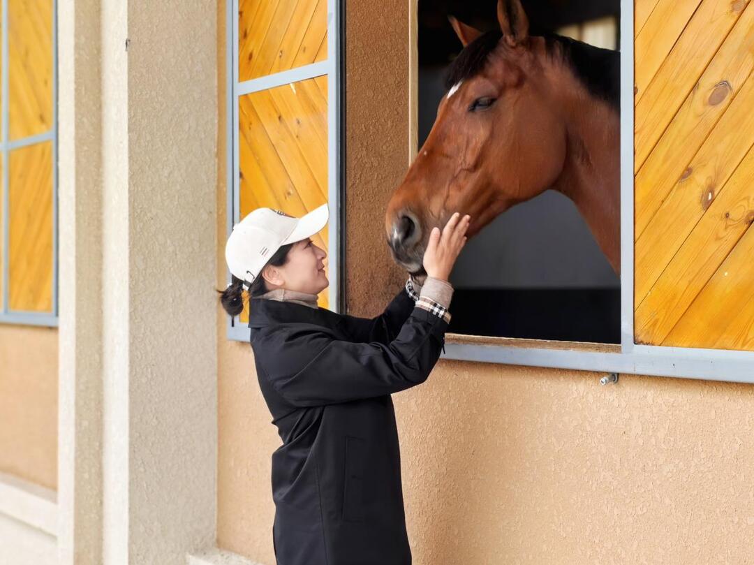 “马”上出圈：扎根果园的“超级马力”