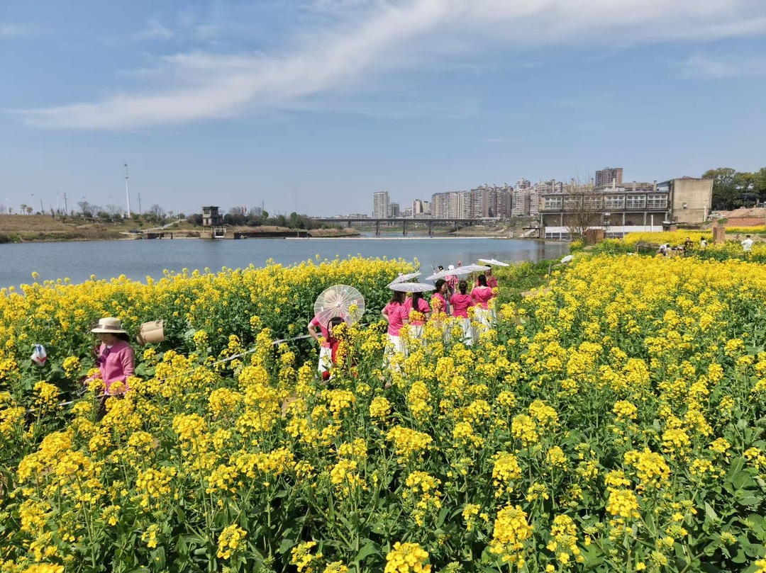 湖南日报市州头条｜渌口区做强“小而美”文旅新业态 去年省级文旅消费新场景数量居株洲第一