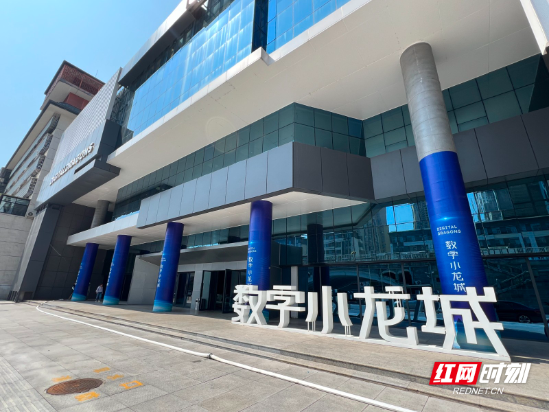 三十而励 实干建功⑩丨岳阳楼区：一条老街 走向“云端”