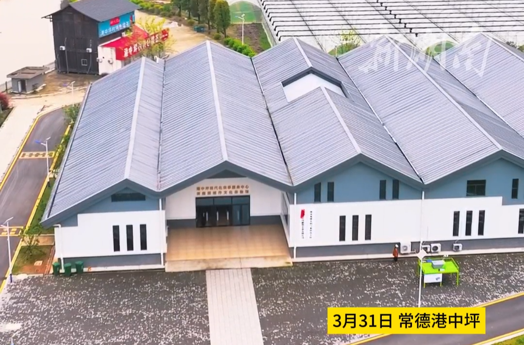 常德港中坪：无人机自主巡田 解锁科技种田新玩法