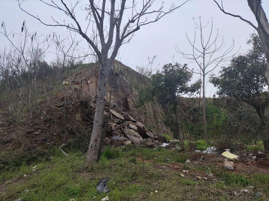 岳阳一山包出现滑坡，市民急呼危险！现场已拉起警戒线