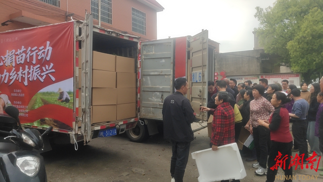 嘉禾县：政企携手，30万株辣椒苗赠农户