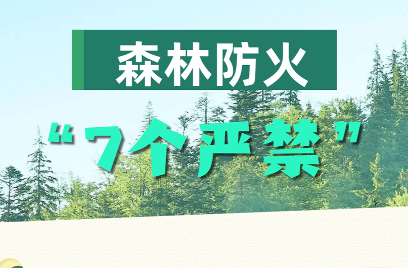 森林防火，这 “7 个严禁” 请牢记！