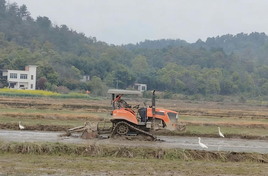 安乡黄山头镇：抢抓农时 稳步推进春耕春管
