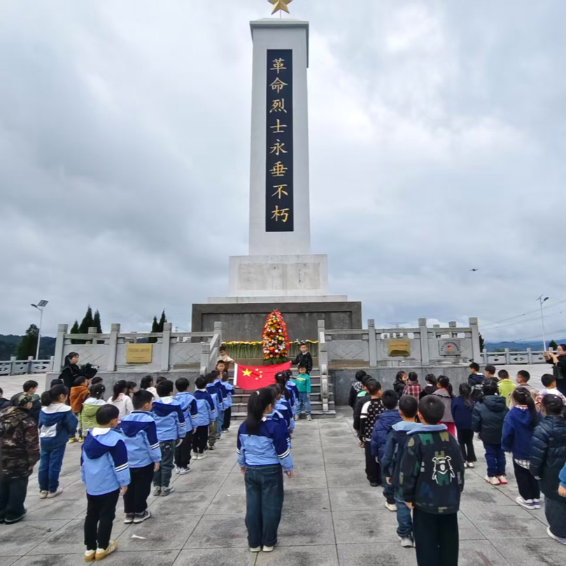 清明风起，洪江市关工委组织全市青少年开展祭英烈活动