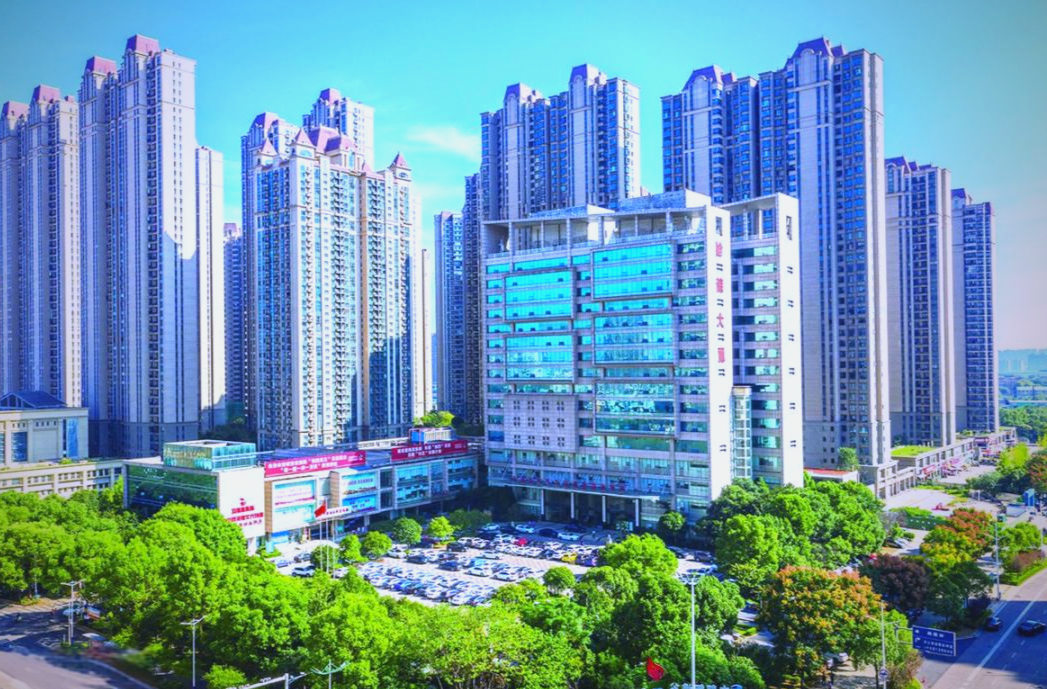 湘潭市电机电控电传动与高端装备制造产业链科产对接活动举行