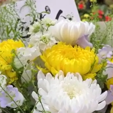 怀化：清明祭英烈 红色永传承