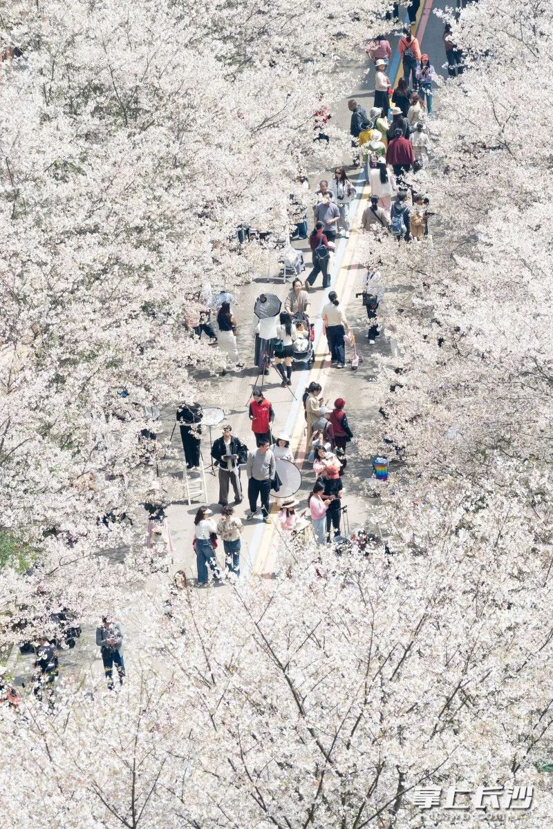 好评中国｜“入戏”长沙