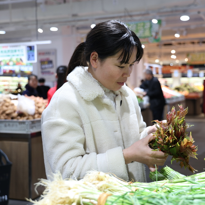 冷水滩：春菜抢“鲜”上市 “舌尖经济”生机盎然