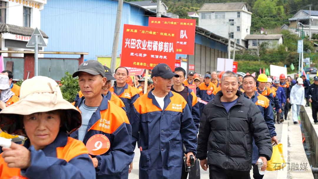 照料果树学问大 橘乡石门的“比武大会”太燃了