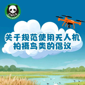@所有人 无人机升空前，记得给鸟儿留空间
