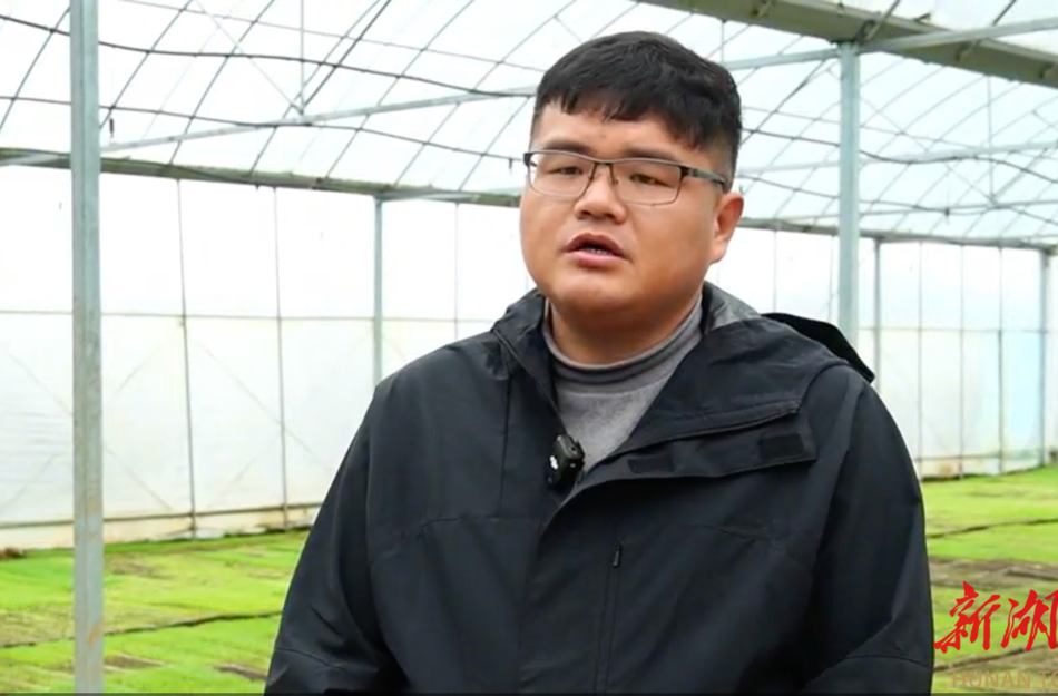 跨省逐梦沃野间——江苏“90后新农人”刘晓宇湖南种粮记@湖南日报