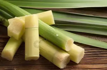 清明前后易出现！这种食物变质后有毒，不要吃