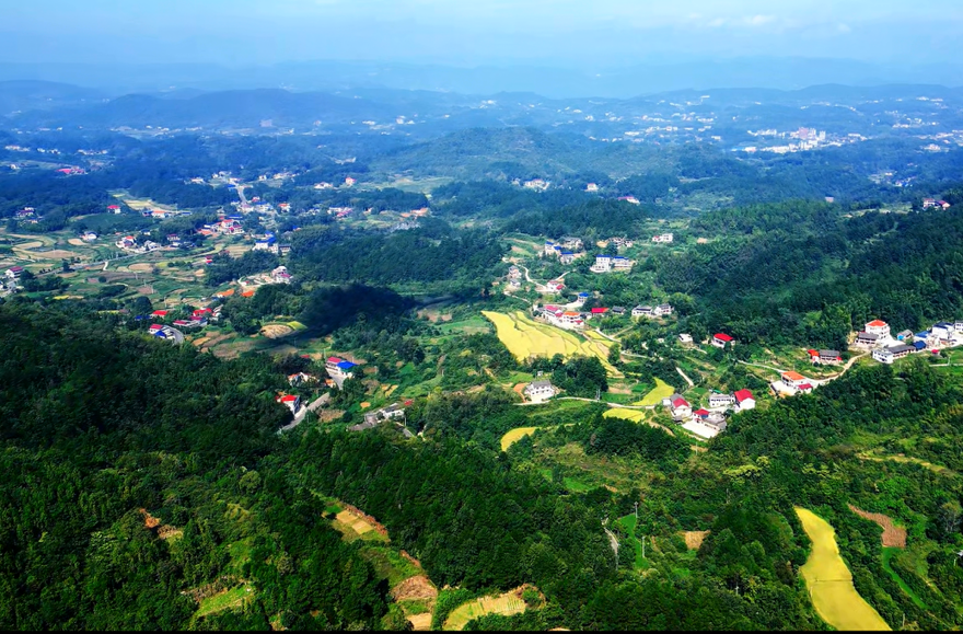 湖南城市学院技术团队进村，助力安化县青峰村的“堵心路”变“放心路”