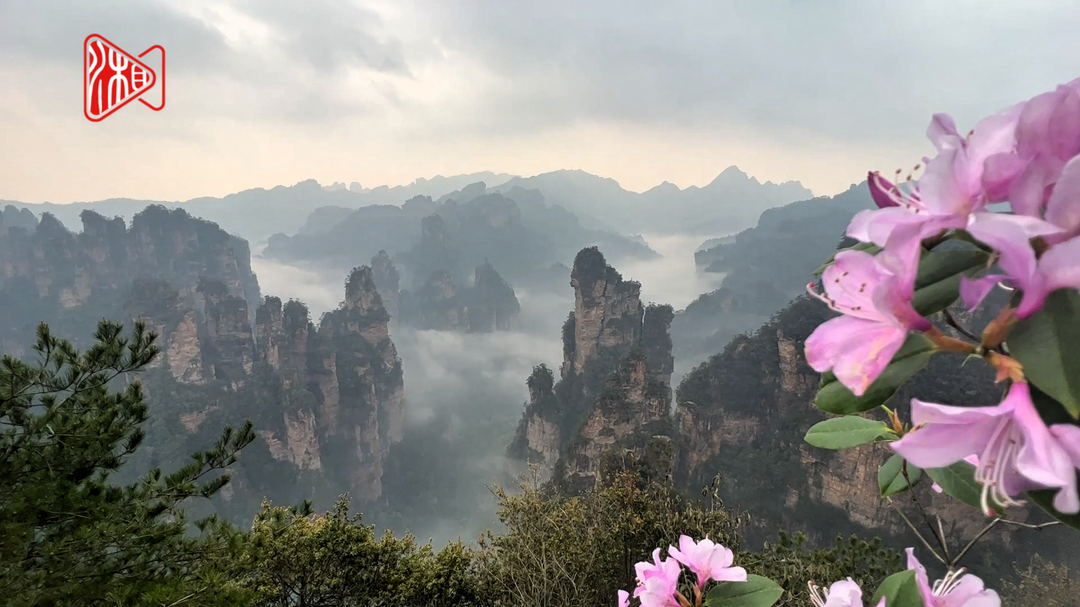 武陵源春日美景上线