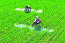 东安放招让种粮从“任务”变“机会”@湖南日报