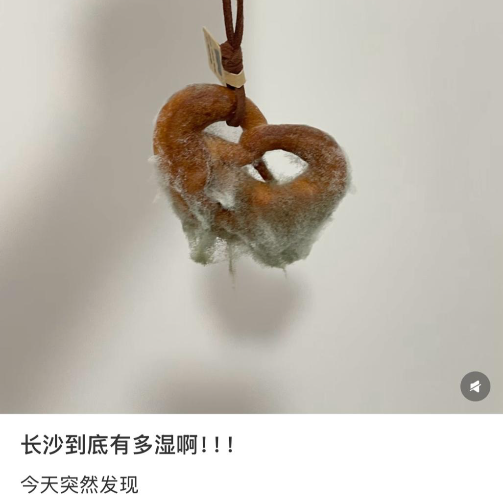 频繁下雨衣柜都“发霉”了，专家：霉菌毒性是砒霜的68倍，收好这份除霉秘诀