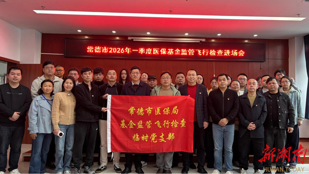 支部建在一线 党旗引领攻坚 常德市医保局基金监管飞行检查临时党支部侧记