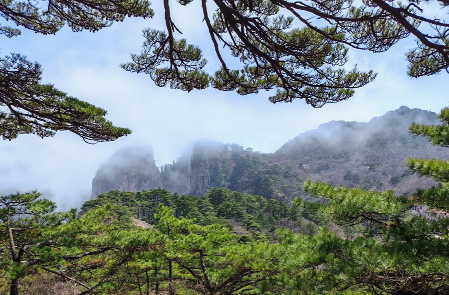 诗丨黄山游记          