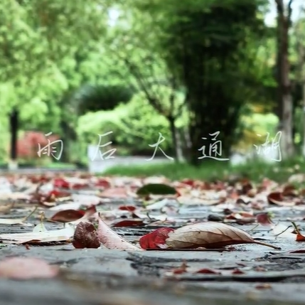 绝美！雨后的益阳大通湖