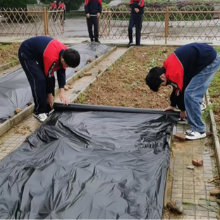 种菜、做擂茶、煎蒿子粑粑……桃江县城北中学解锁劳动教育新“玩法”