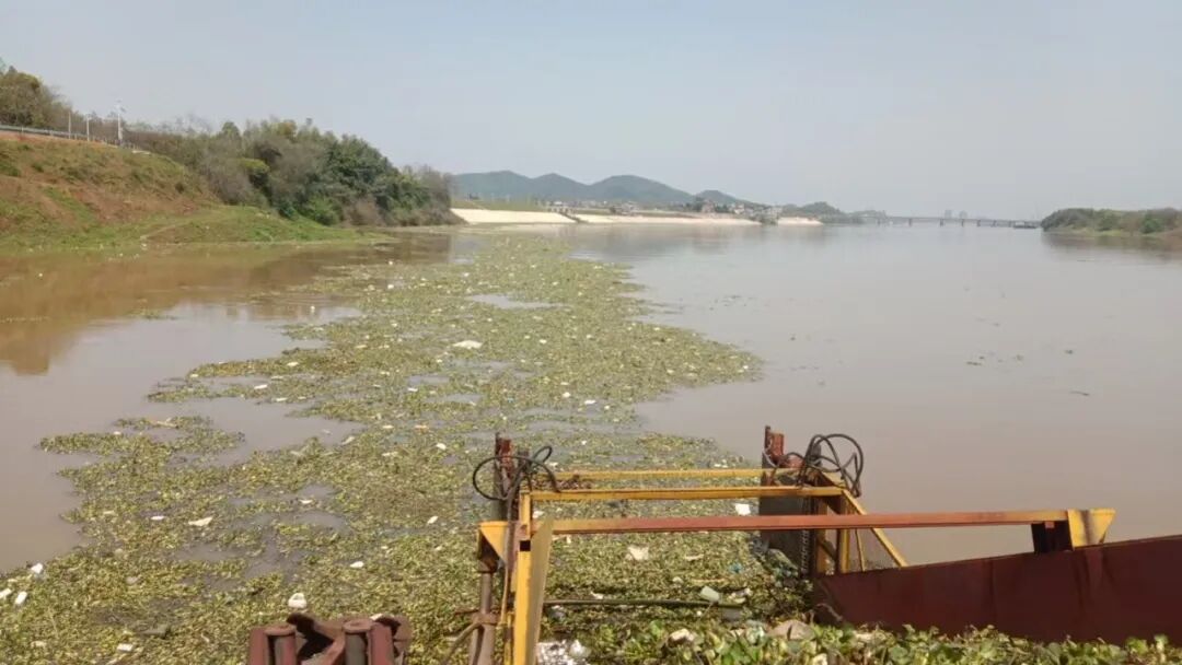 湘潭市水利局开展重点水域河道保洁专项检查 守护河道生态