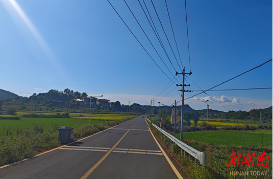 金洞：践行为民宗旨 铺就幸福大道