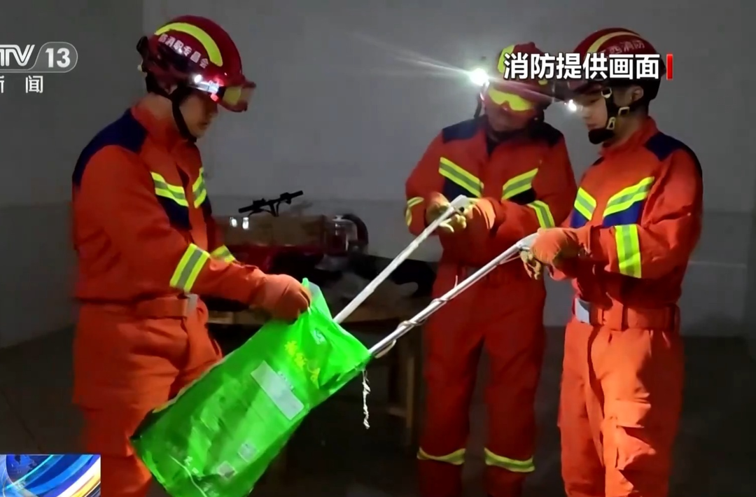 天气回暖多地频繁“蛇出没” 消防提醒