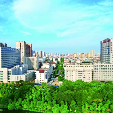 专科护士“挑大梁”！岳阳市人民医院四大工作室挂牌，护理改革再提速@湖南日报特稿