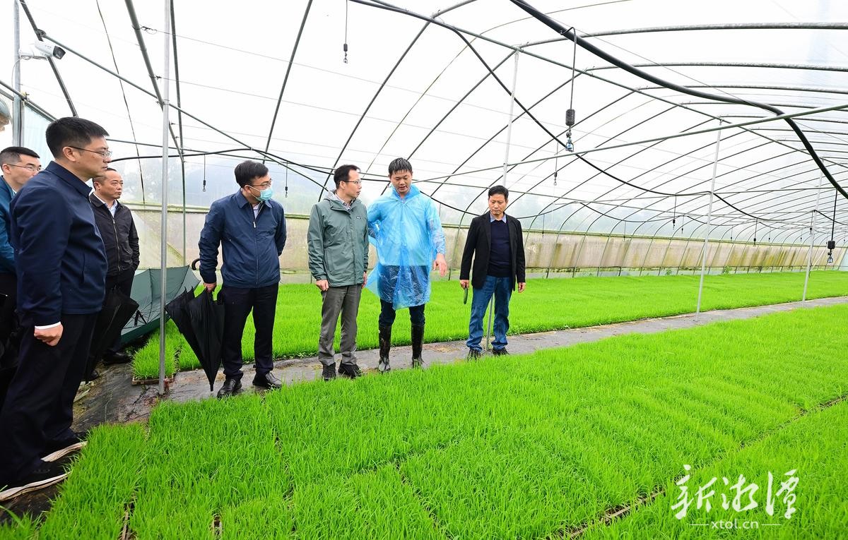 胡贺波调研督导春耕生产及乡村特色产业发展