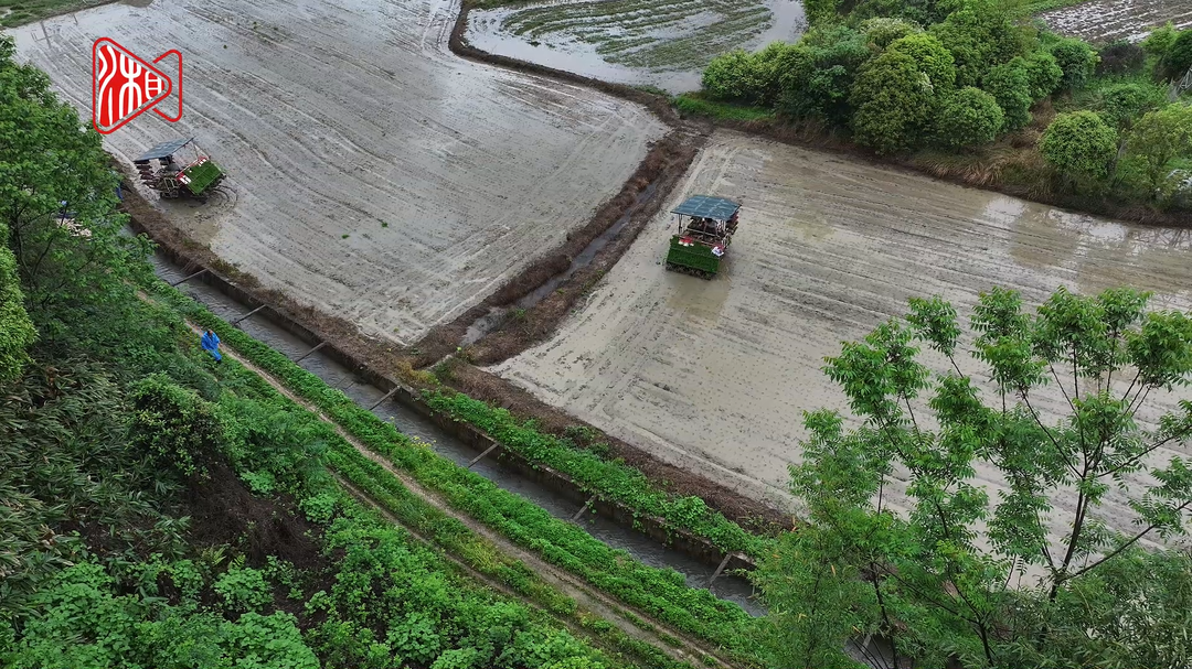 浏阳官渡：机械化插秧助春耕