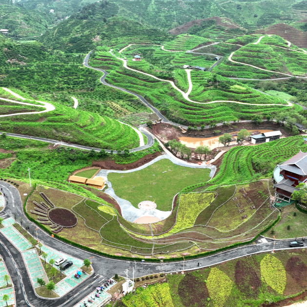 麻阳橙香园建设提速 3000亩冰糖橙示范园“长大啦”