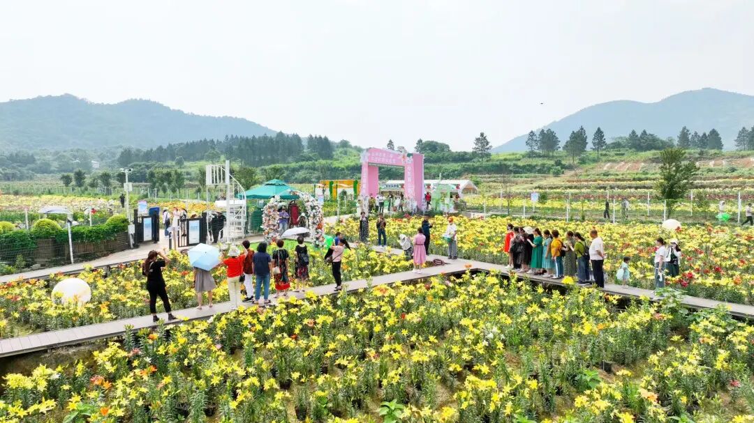 三十而励 实干建功㉗｜谁说乡非得变成城？这波“反向操作”，乡村才是终极赢家