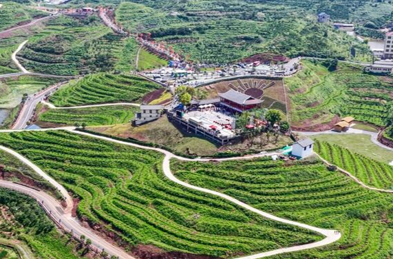 一朵橙花能走多远？麻阳的答案是：从枝头到产业链尽头