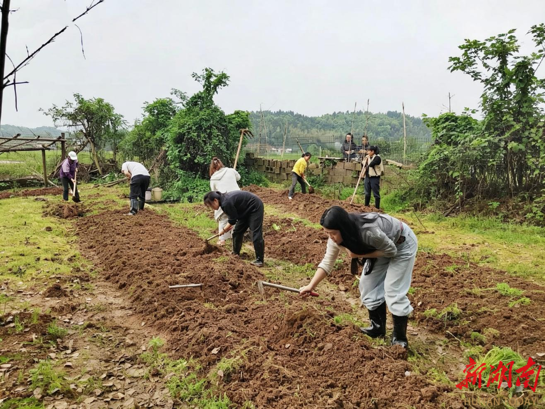 荷塘区宋家桥街道：沃野育初苗，青锋暖龙洲